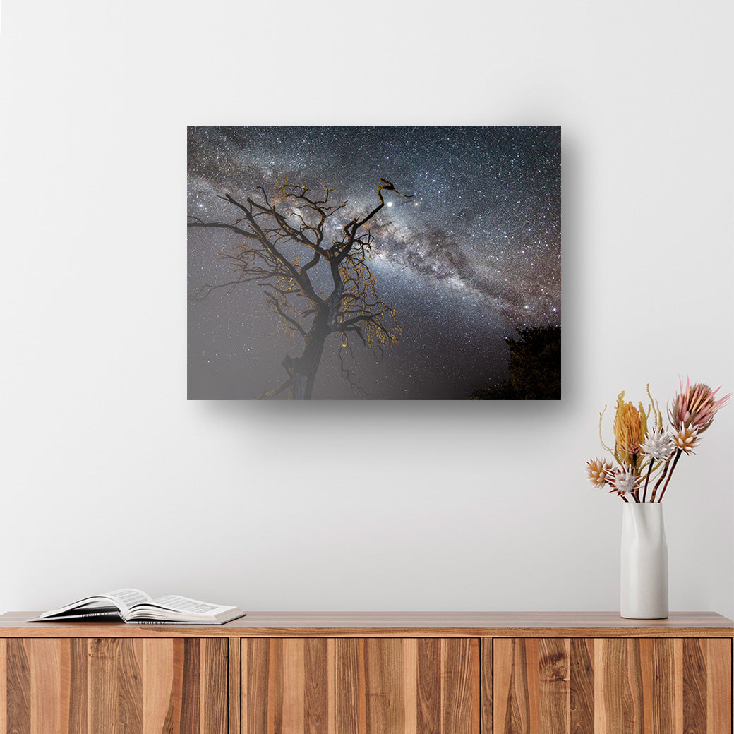 Cuadro Via Lactea en Amboseli