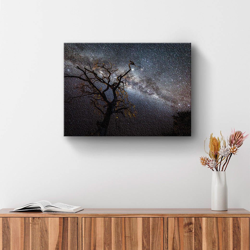 Cuadro Via Lactea en Amboseli