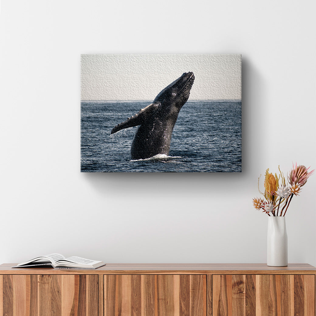 Cuadro acrílico Baby whale Tkatschinski Pictures - balcru #Tipo_Canvas
