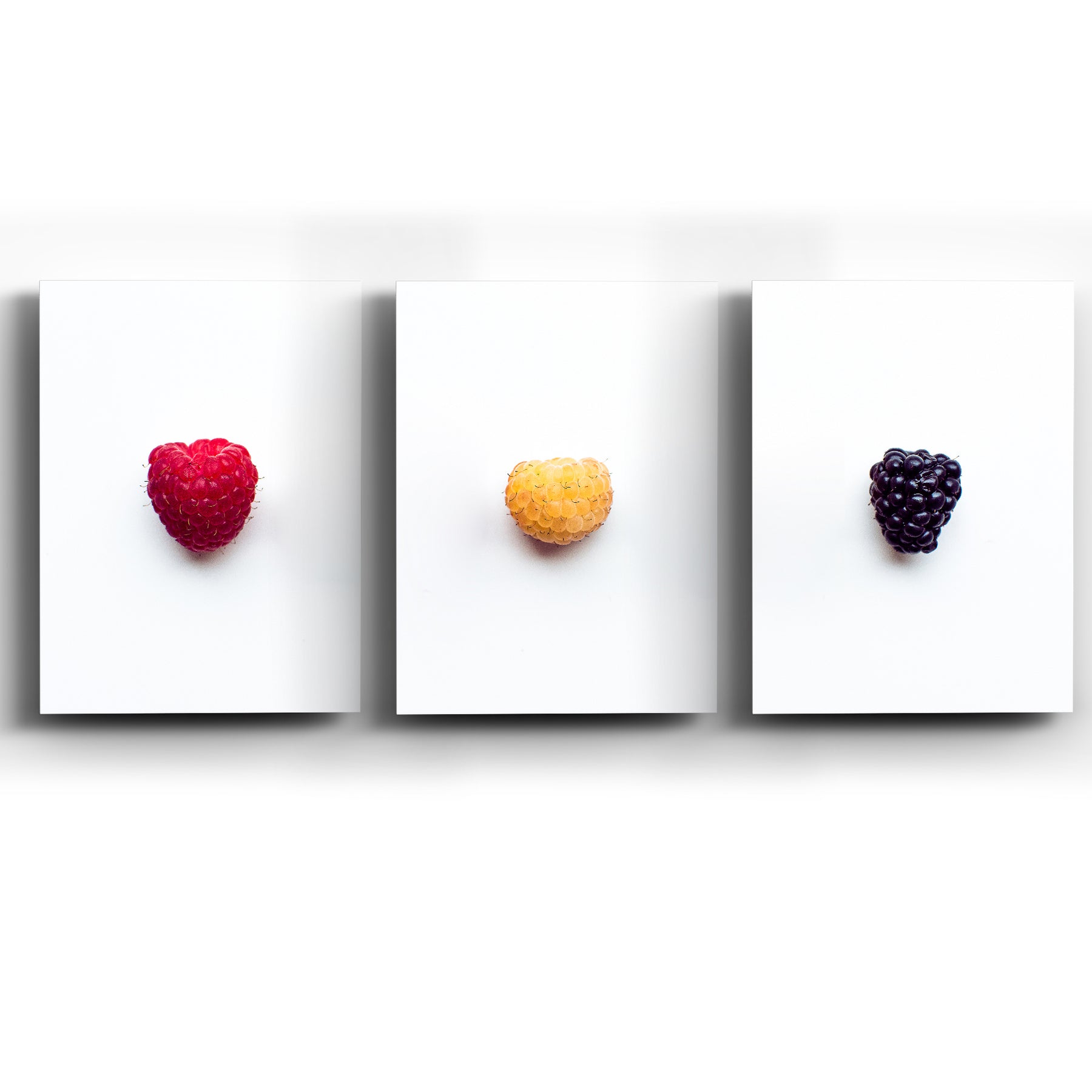 Collage de Cuadros con Colorful Berries