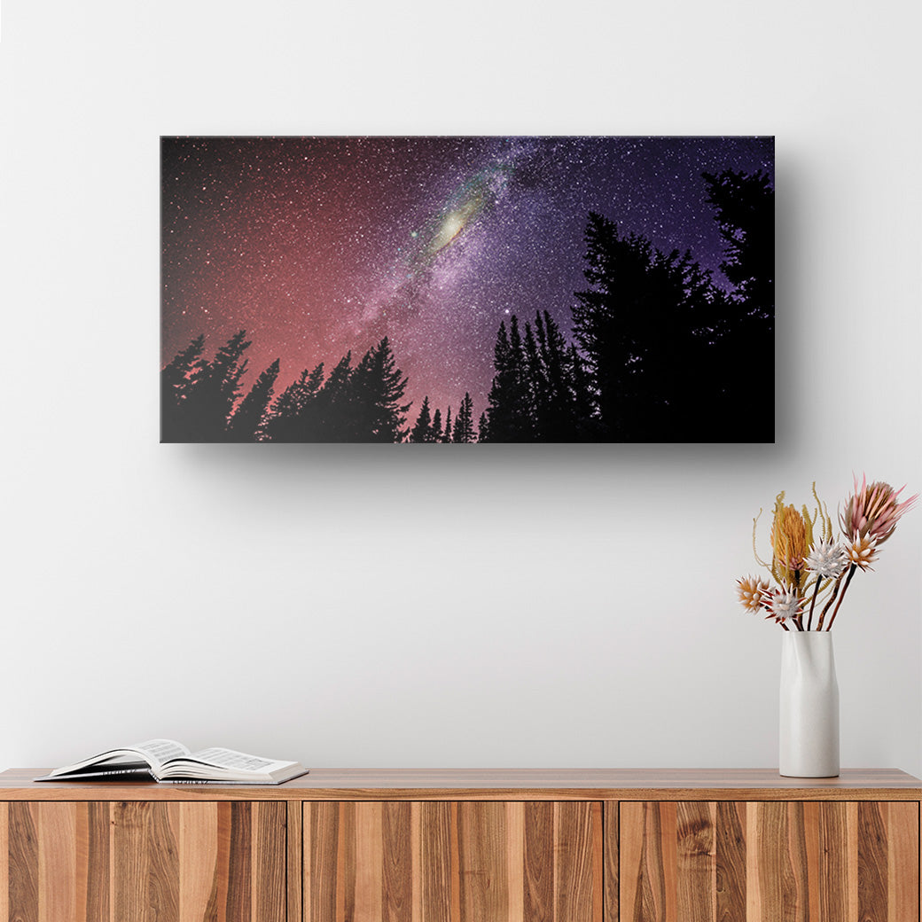 Cuadro con Bosque de Estrellas