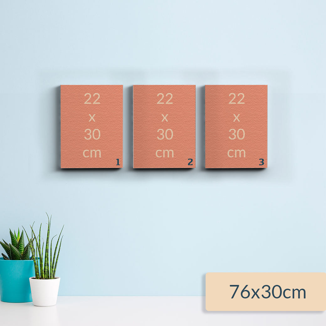 Collage de Cuadros de Frutas bicolores