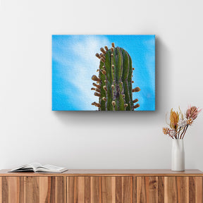 Cuadro Cactus cardón con flores