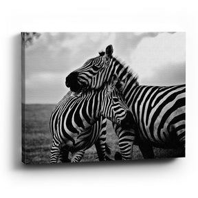 Cuadro decorativo de Zebra