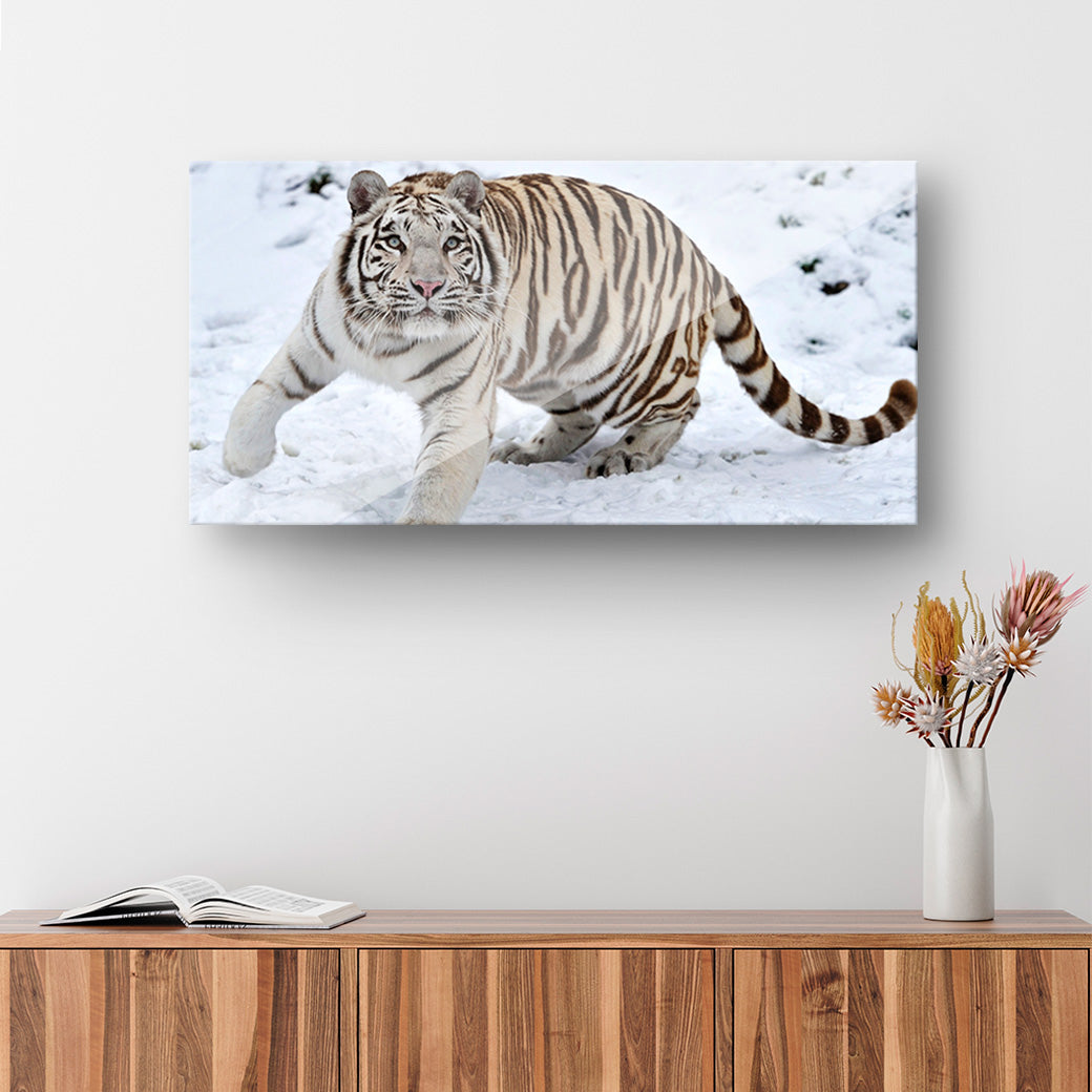 Cuadro decorativo Tigre blanco