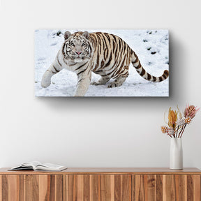 Cuadro decorativo Tigre blanco