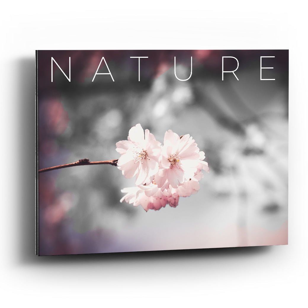 Cuadro decorativo de Cherry Blossom