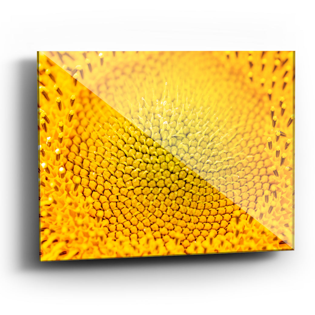 Cuadro decorativo de Flor Amarilla