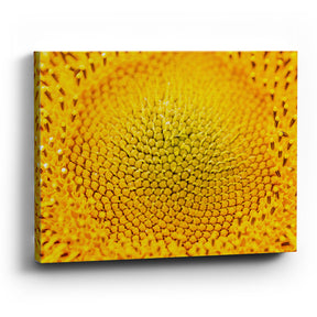Cuadro decorativo de Flor Amarilla